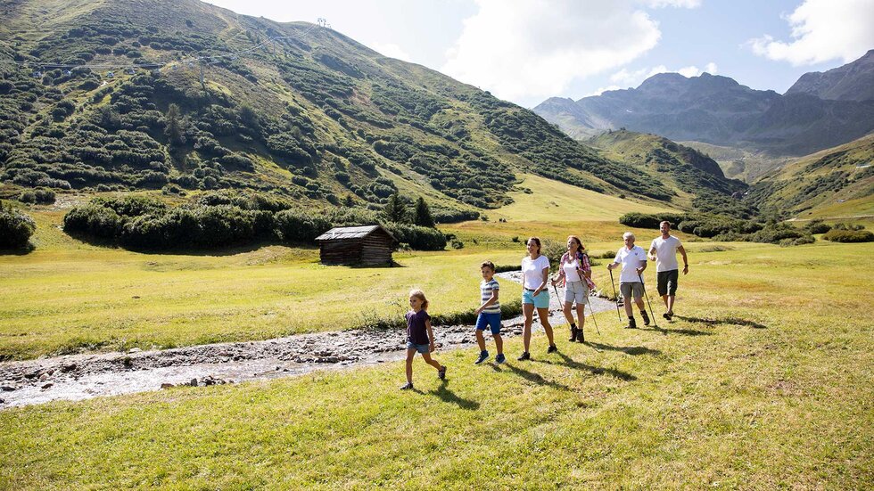Gruppe von Wanderern in der grünen Bergwelt